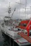 Barco de fuego en venta