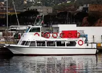 Soporte de buceo en venta