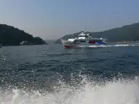 Barco de transbordador en venta