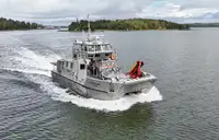 Catamarán en venta