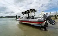 Anfibio en venta