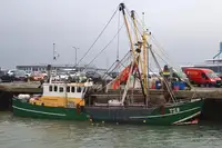 Arrastrero de pesca en venta