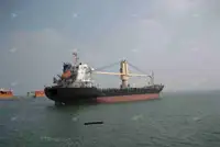 Granelero en venta