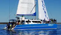 Catamarán en venta