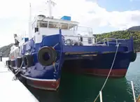 Catamarán en venta