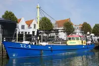 Arrastrero de pesca en venta