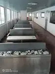 Barco RoPax en venta