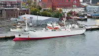 Arrastrero de pesca en venta