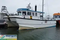 Barcos de trabajo en venta