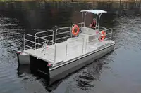 Catamarán en venta