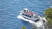 Soporte de buceo en venta
