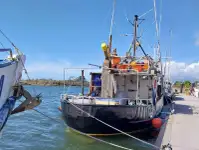 Buque palangrero en venta