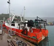 Arrastrero de pesca en venta