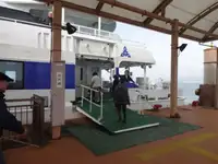 Catamarán en venta