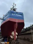 Granelero en venta