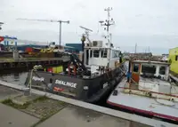 Barcos de trabajo en venta