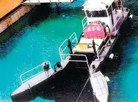 Bote patrulla en venta