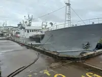 Buque palangrero en venta