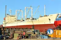 Barco frigorífico en venta