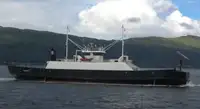 Barco RORO en venta