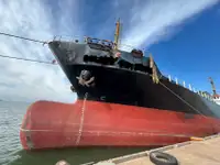 Granelero en venta
