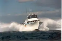 Barcos de trabajo en venta