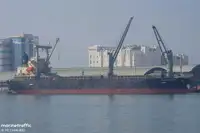 Granelero en venta