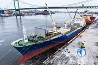 Barco frigorífico en venta