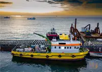 Barcos de trabajo en venta