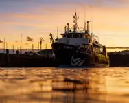 Buque de encuesta en venta