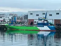 Barcos de trabajo en venta