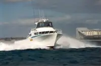 Barcos de trabajo en venta