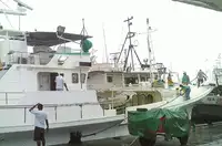 Buque palangrero en venta
